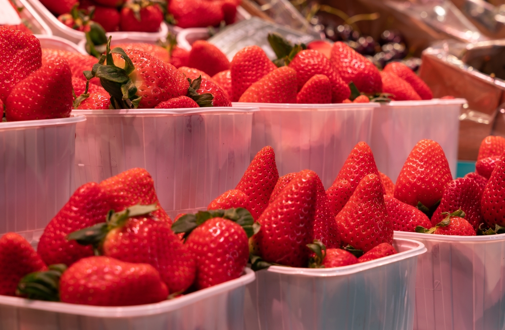 Les fraises produites en Espagne n'ont rien de savoureux