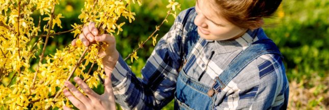 Comment bien préparer le jardin pour le printemps ?