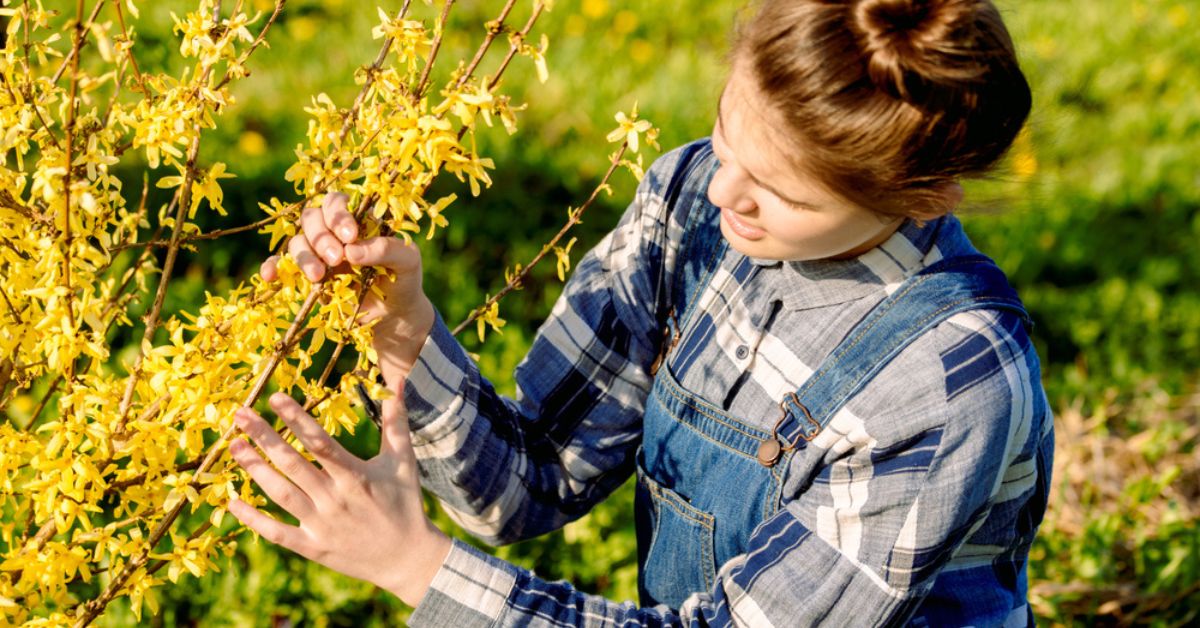 Printemps au jardin : 7 erreurs trop souvent commises avec l'arrivée des beaux jours