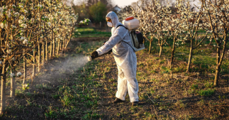 Pesticides : la France fait figure de mauvaise élève Pesticides : la France fait figure de mauvaise élève