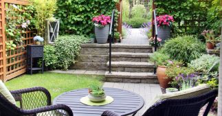 Les plantes d'extérieur les plus faciles à cultiver, idéales pour les jardiniers débutants Les plantes d'extérieur les plus faciles à cultiver, idéales pour les jardiniers débutants