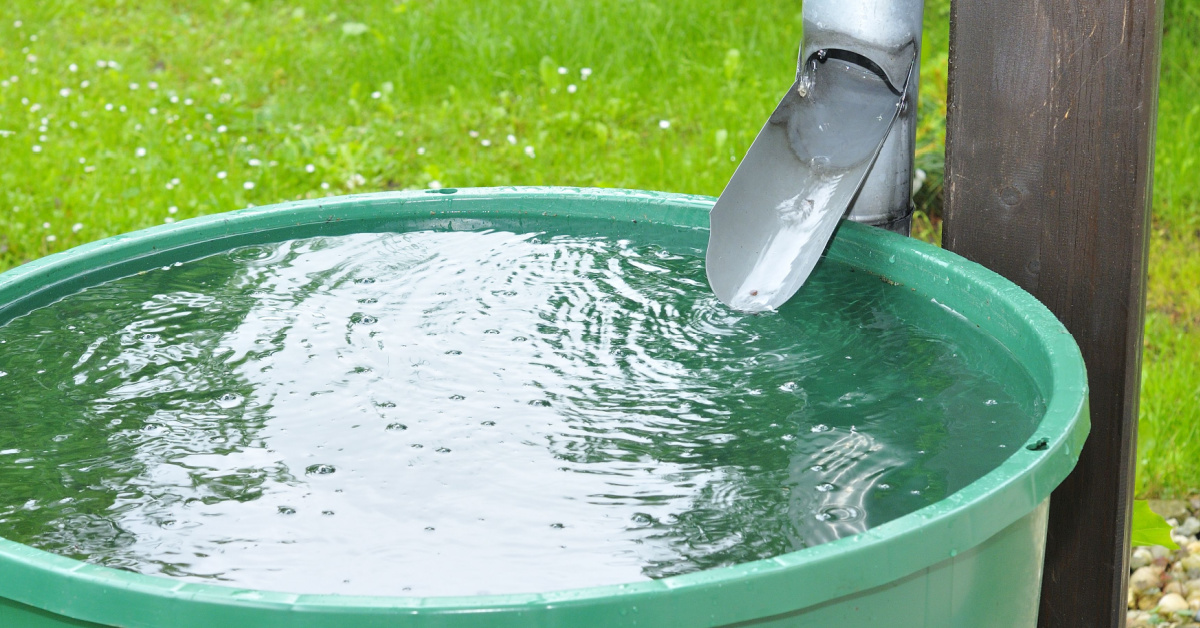 Interdiction d'eau de pluie pour un usage domestique : vérité ou rumeur ? Interdiction d'eau de pluie pour un usage domestique : vérité ou rumeur ?