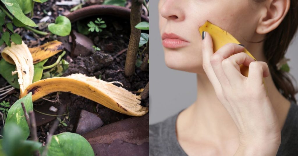Ne jetez plus les peaux de bananes : 8 idées de recyclage pour le jardin, la maison et la beauté