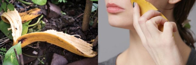 Comment recycler les peaux des bananes pour profiter de leurs bienfaits ?