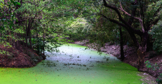 Pesticides : 99% des eaux en Bretagne sont contaminés Pesticides : 99% des eaux en Bretagne sont contaminés
