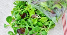 Les substances que nous cachent… les salades en sachet
