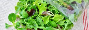 Les substances que nous cachent... les salades en sachet