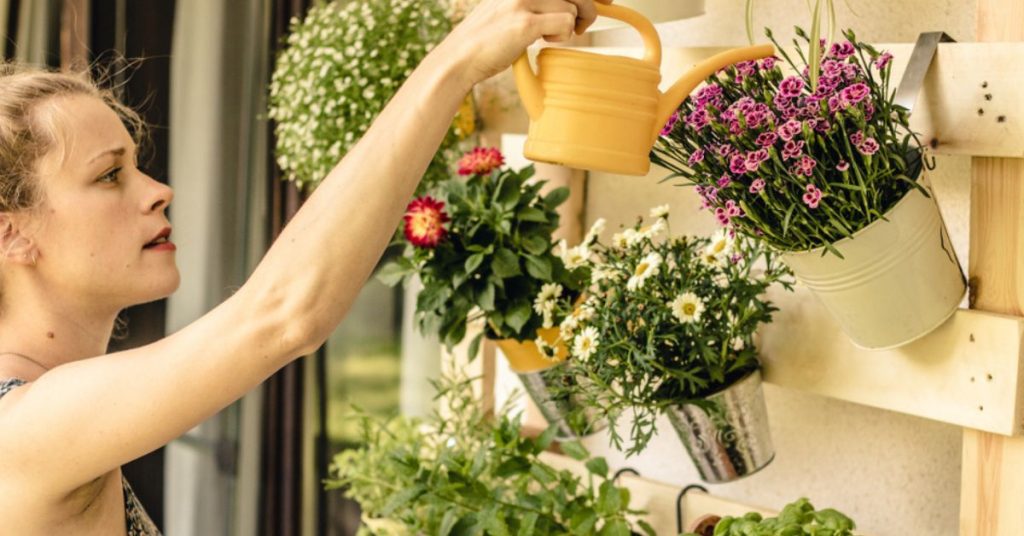 Créer un paradis végétal sur sa terrasse ou son balcon, à moindres frais