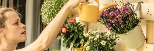 Créer un paradis végétal sur sa terrasse ou son balcon, à moindres frais Créer un paradis végétal sur sa terrasse ou son balcon, à moindres frais