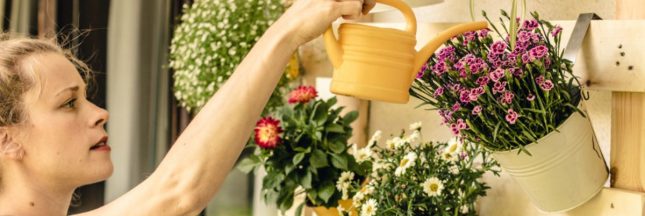 Créer sur sa terrasse ou son balcon un paradis végétal, à moindres frais