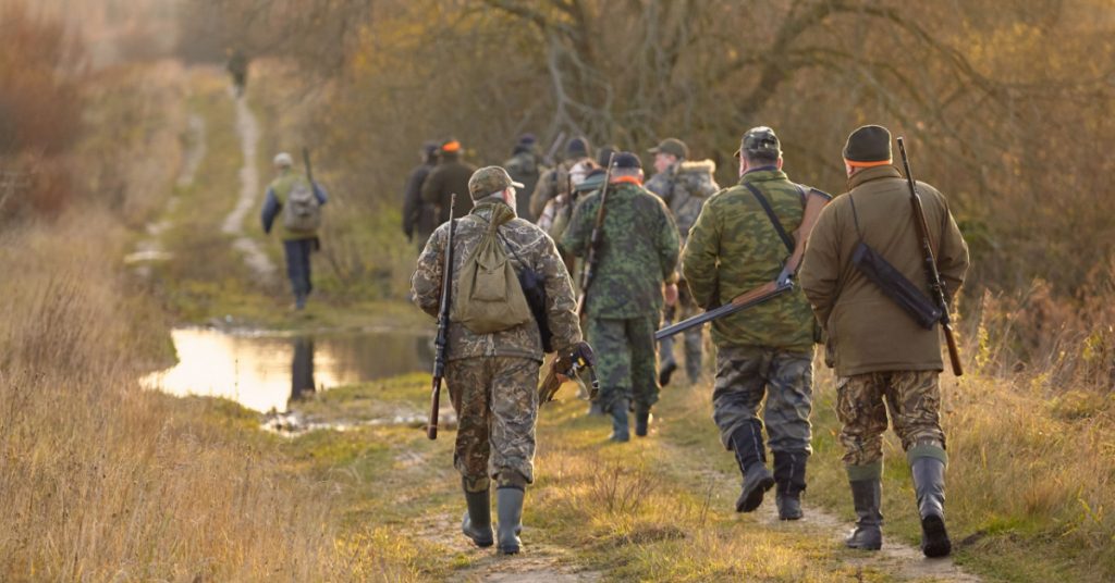 Chasse : interdite le dimanche à Saint-Dié-des-Vosges