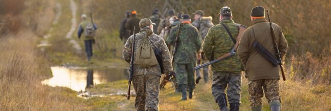 Chasse : interdite le dimanche à Saint-Dié-des-Vosges