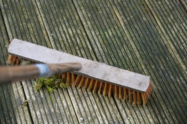 Éliminer la mousse sur une terrasse en créant un antimousse naturel — free download