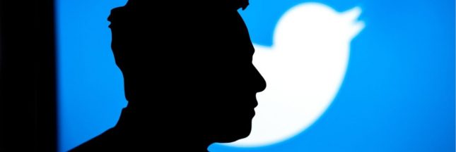 shutterstock_2221703039