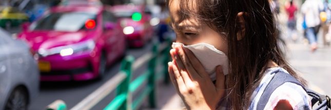 pollution de l'air décés prématurés enfants