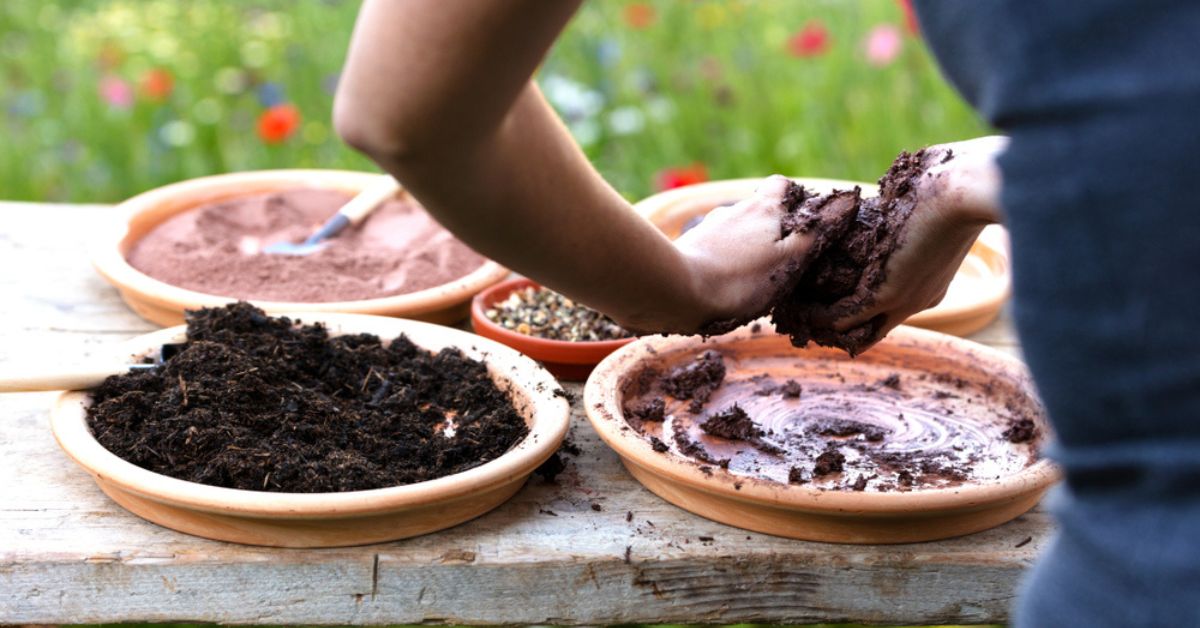 Fabriquer des bombes à graines pour reverdir son jardin : facile et utile !