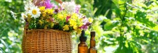 Le secret d'un jardin épanoui : les huiles essentielles pour une régénération printanière réussie !