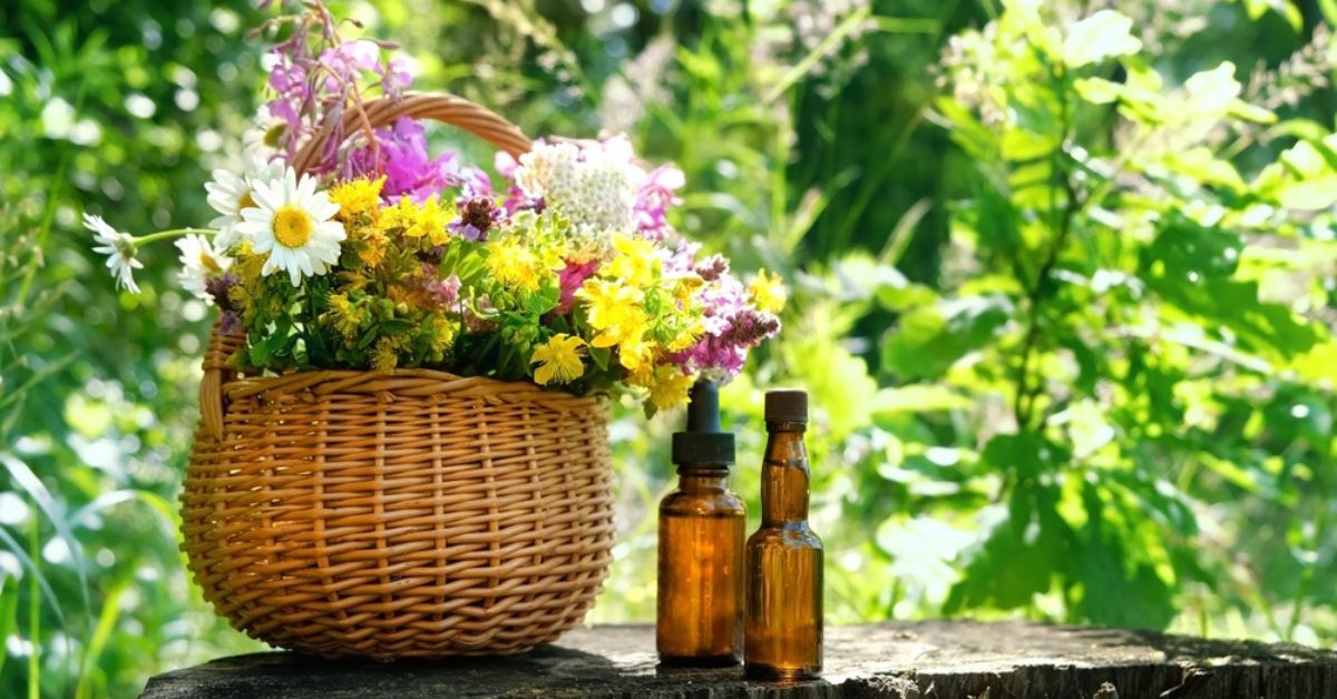 Le secret d'un jardin épanoui : les huiles essentielles pour une régénération printanière réussie ! Le secret d'un jardin épanoui : les huiles essentielles pour une régénération printanière réussie !