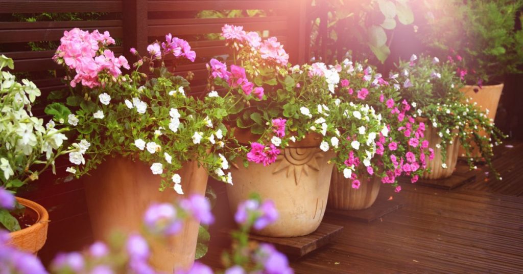 Des jardinières fleuries toute l’année pour un jardin coloré en toutes saisons !