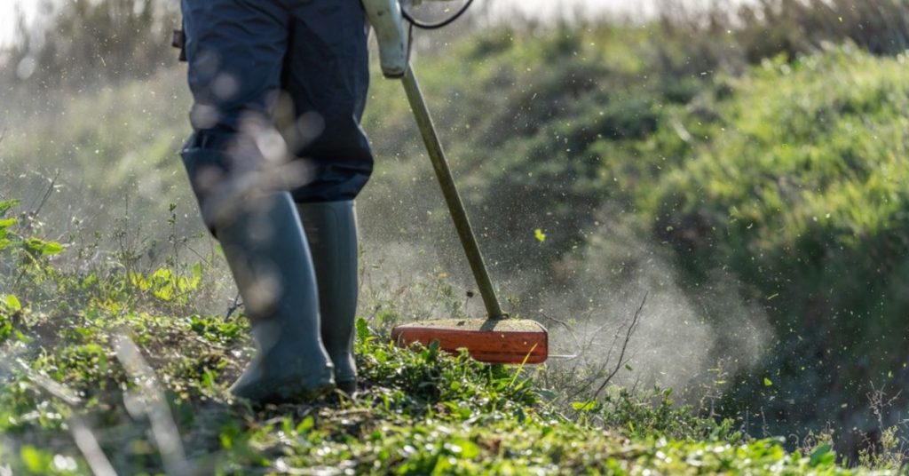 Attention aux sanctions pour les propriétaires et voisins qui ne débroussaillent pas avant l’été