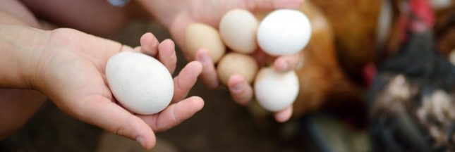 shutterstock_2162624581