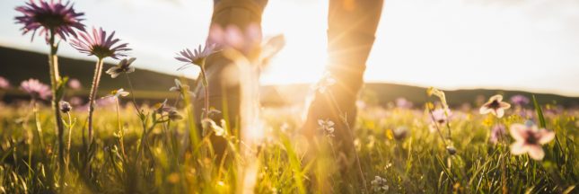 La technique de la marche afghane, pour retrouver la forme en pleine conscience