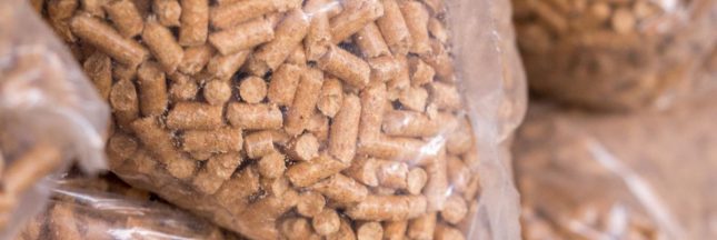 Poêle à granulés : quand acheter ses pellets au meilleur prix en 2023 ?