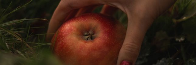 Cueillir ou ramasser les fruits de l'arbre du voisin, sur votre terrain : connaissez-vous vraiment la loi ?