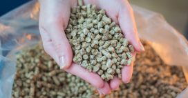 Stockage des pellets : des précautions indispensables pour éviter les pertes et protéger sa santé