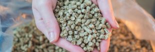 Stockage des pellets : des précautions indispensables pour éviter les pertes et protéger sa santé