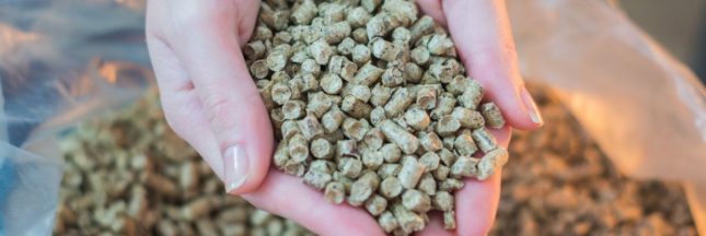 Stockage des pellets de bois : comment éviter les pertes pendant les mois chauds ?