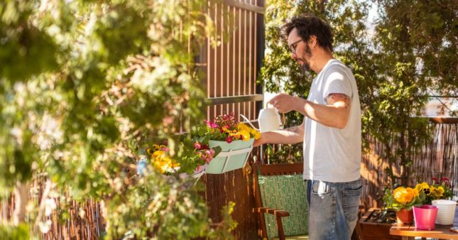 Aménager sa terrasse : créer un oasis de verdure