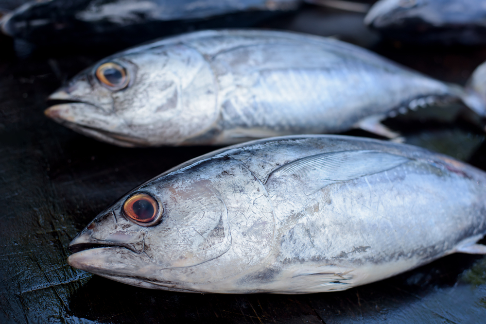 Consommation excessive de saumon, thon et cabillaud, attention danger !