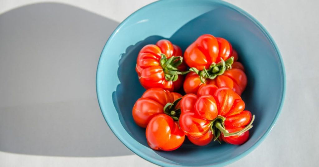 La tomate ‘Voyage’ : variété ancienne facile à partager pour des pique-niques gourmands !