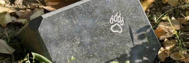 Funérailles des animaux de compagnie