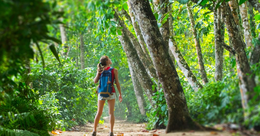 Tourisme régénératif : les vacanciers au service de l’environnement