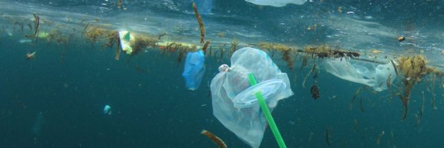 Il y a de la vie sur le continent de plastique du Pacifique