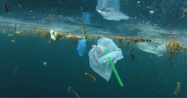 Il y a de la vie sur le continent de plastique du Pacifique
