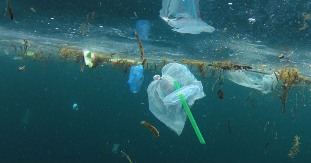 Il y a de la vie sur le continent de plastique du Pacifique, et ce n'est pas une bonne nouvelle