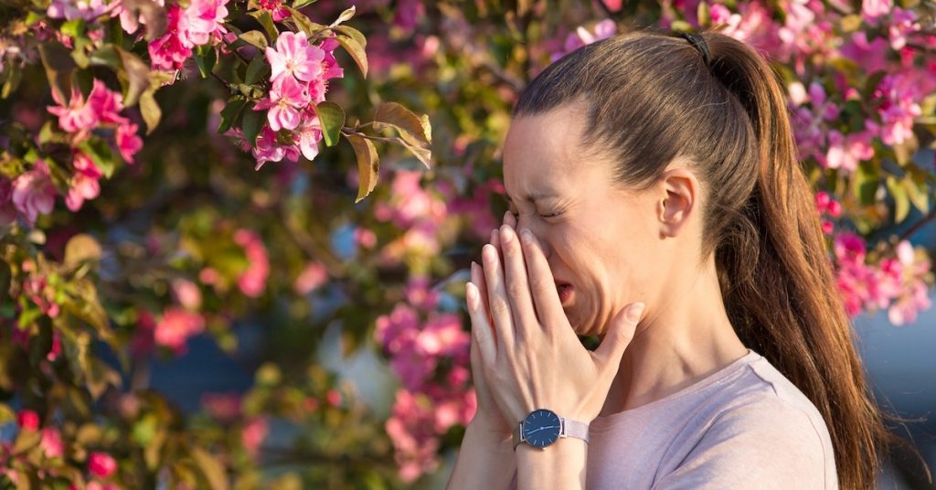 Réchauffement climatique : les allergies au pollen vont considérablement s’amplifier à l’avenir