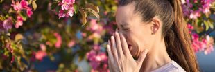 Réchauffement climatique : les allergies au pollen vont considérablement s'amplifier à l'avenir