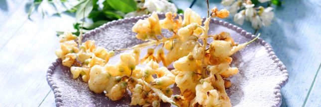 Beignets de fleurs d'acacia : des délices floraux à savourer dès maintenant