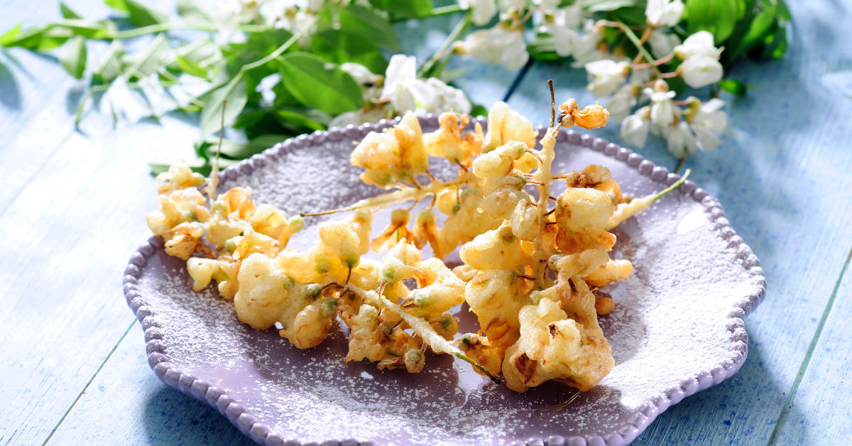 Beignets de fleurs d'acacia : des délices floraux à savourer dès maintenant