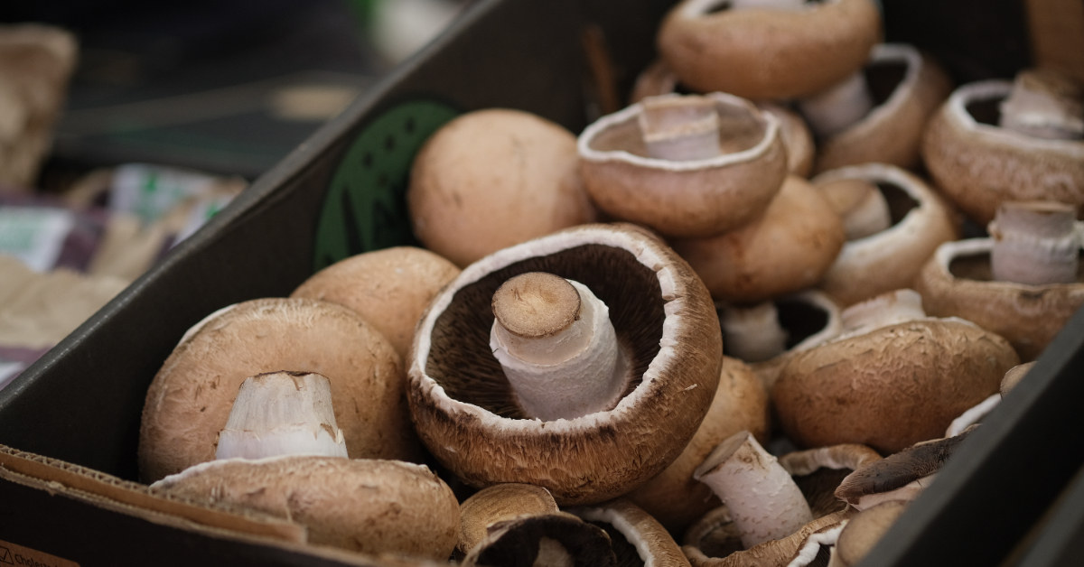 Portobello, le cousin géant du champignon de Paris : comment le consommer ?