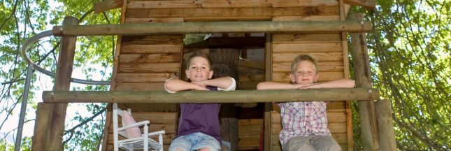 Construire une cabane dans les arbres
