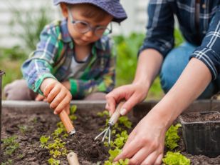 Que faire au potager avec les enfants au printemps ?