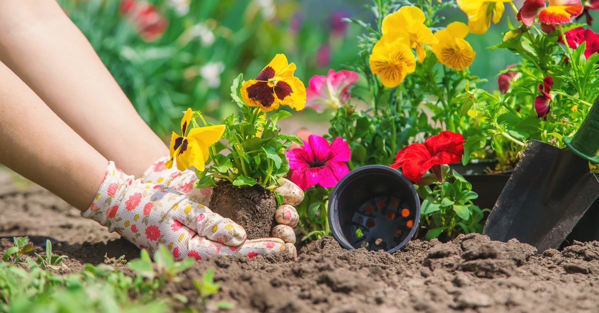 Jardinage de printemps : que planter au potager et au jardin en mai ? Jardinage de printemps : que planter au potager et au jardin en mai ?