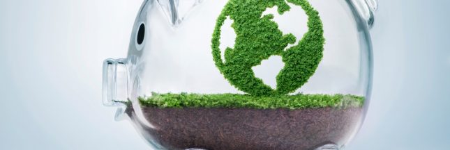 plan d'épargne vert