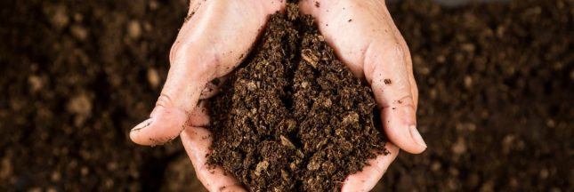 Le meilleur terreau universel est aussi l'un des moins chers, selon 60 Millions de Consommateurs