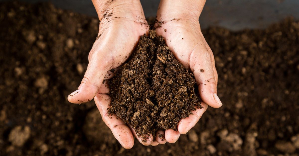 Terreau : comment choisir le meilleur et l'utiliser au jardin